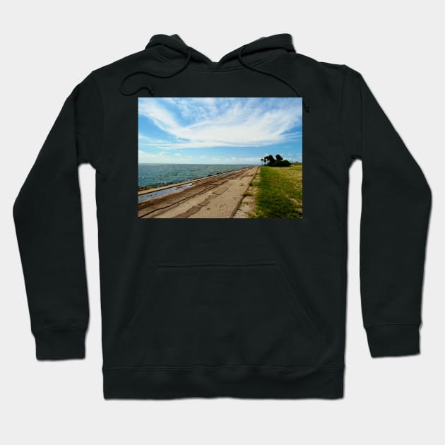 Florida Rest Area Hoodie by Cynthia48